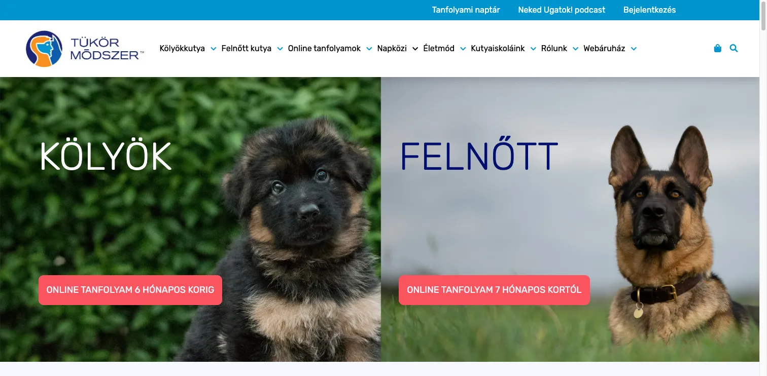 Kutyasuli webáruház